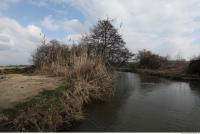 Photo Texture of Background Spring Nature 